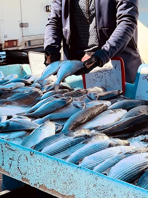 Le marché aux poissons sur le Vieux-Port