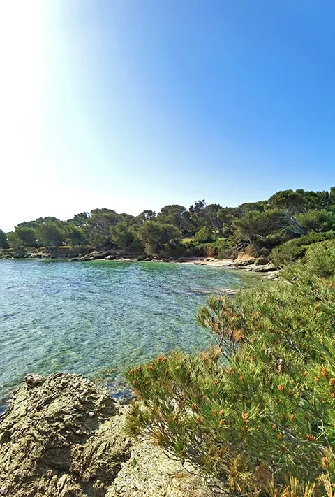 Randonnée sur l'île des Embiez