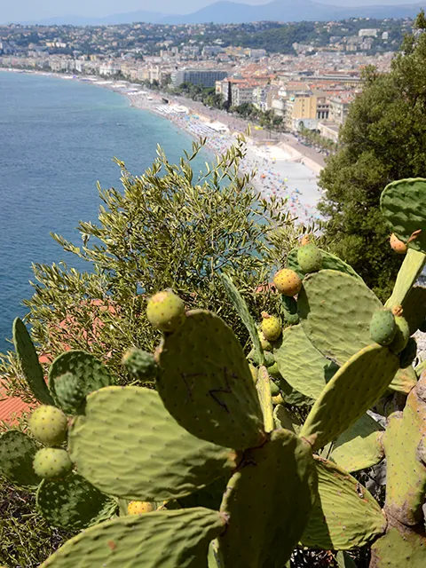 Vue sur Nice depuis la colline du château