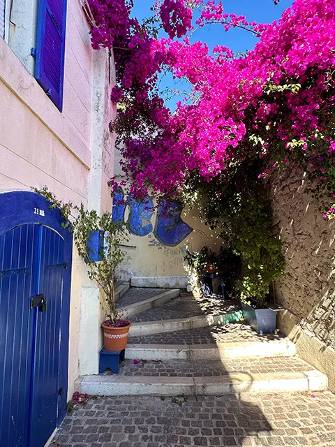 Les rues fleuries du quartier du Panier à Marseille