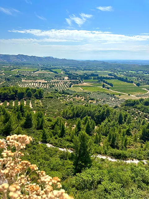 Randonnée dans les Alpilles