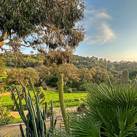 Le domaine du Rayol et ses magnifiques jardins