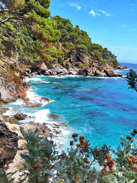 La pointe du Figuier au Rayol