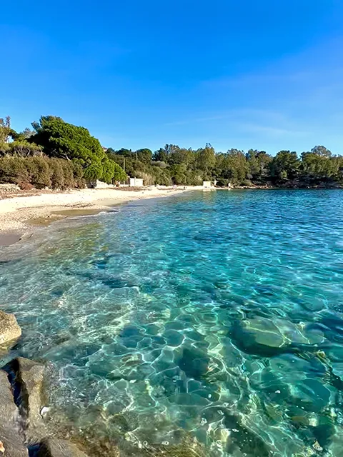 programme de votre road trip dans le sud de la France : le sentier du littoral au Lavandou