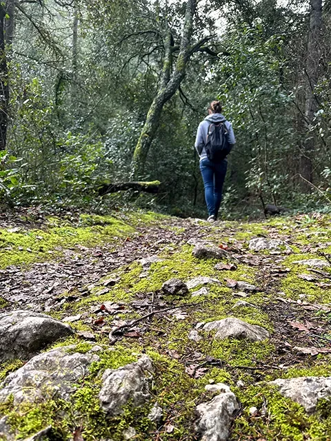 Randonner à Oppède-le-Vieux